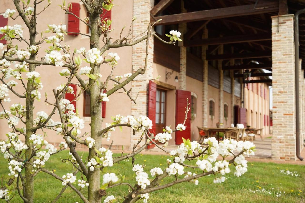 Agriturismo Ca' Lealta Marango di Caorle エクステリア 写真
